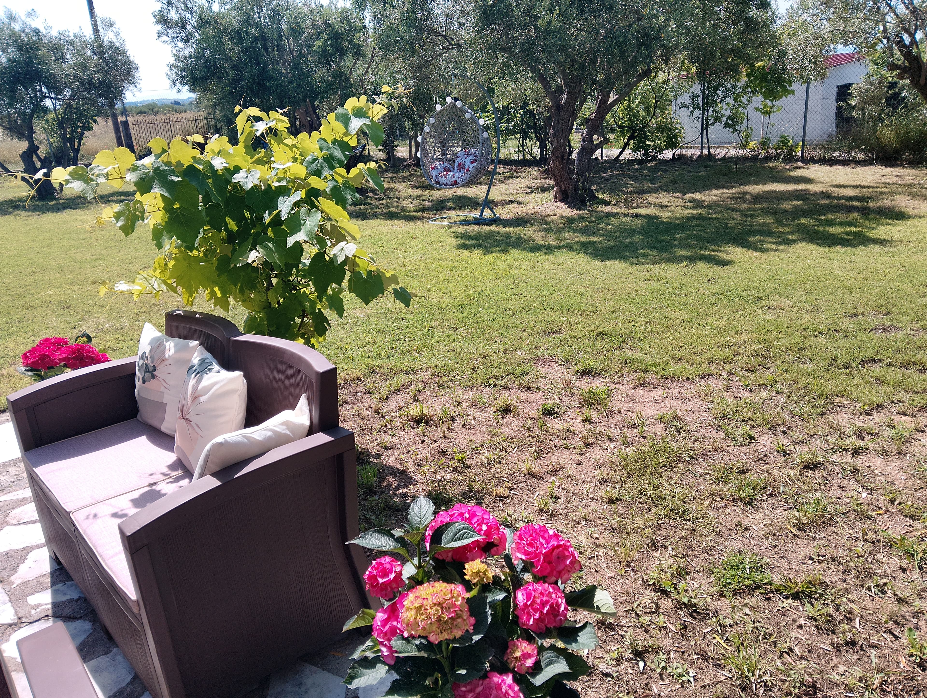 Relaxed summer atmosphere